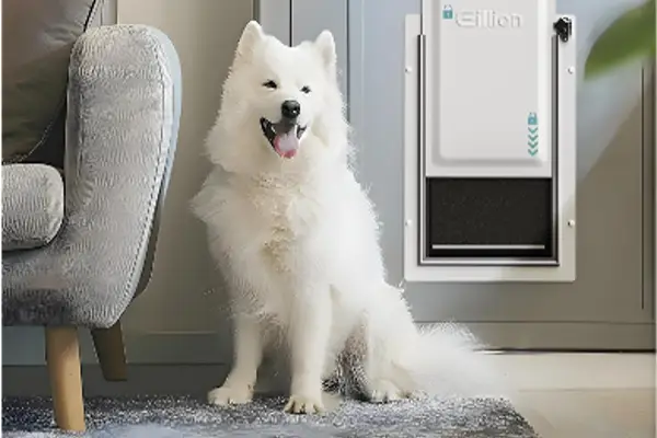 Pet Door for Wall
